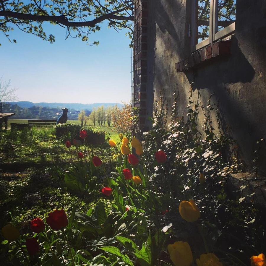 Gladeholm - Kivik - Artist Studio Экстерьер фото